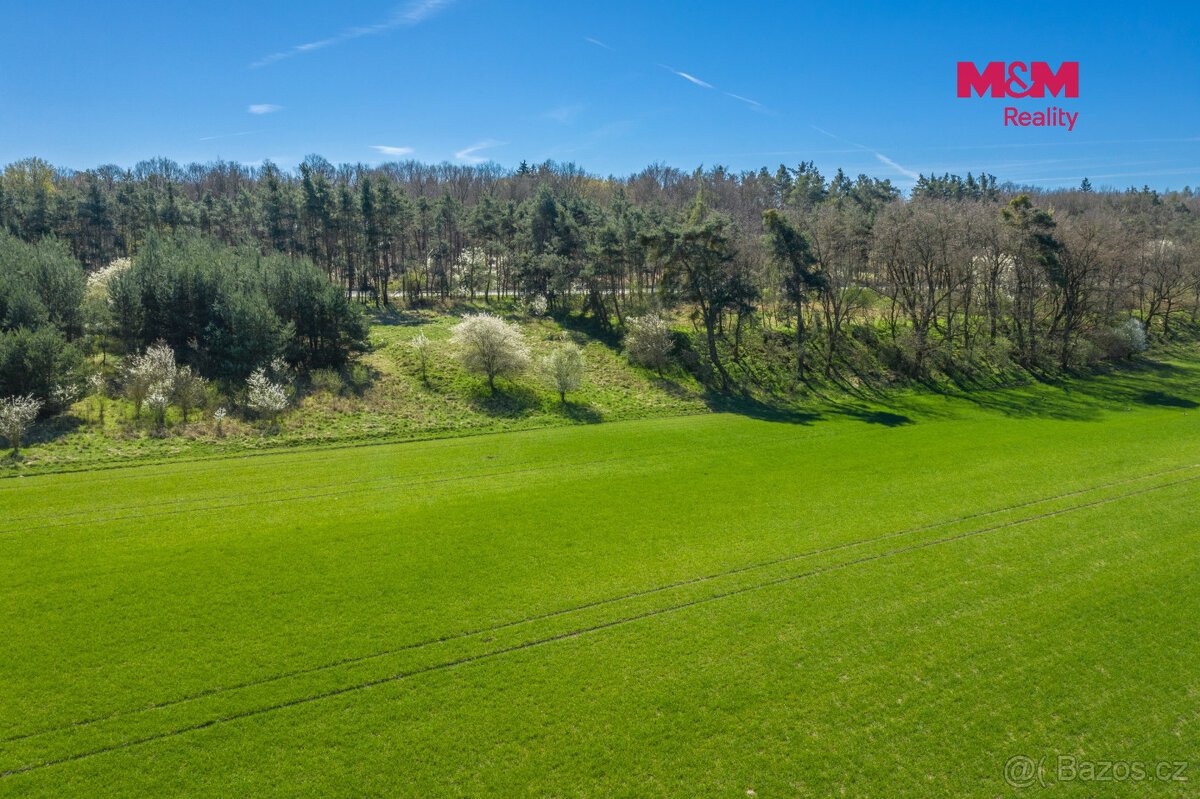 Prodej pole, 8786 m², Benátky nad Jizerou