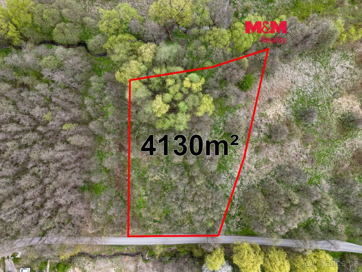 Prodej pole, 4130 m², Dětmarovice