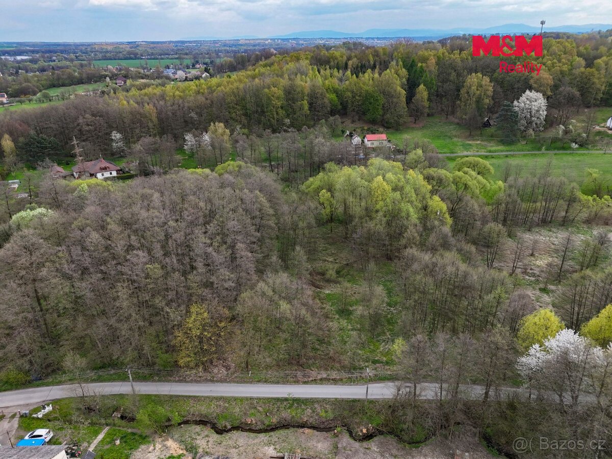 Prodej pole, 4130 m², Dětmarovice