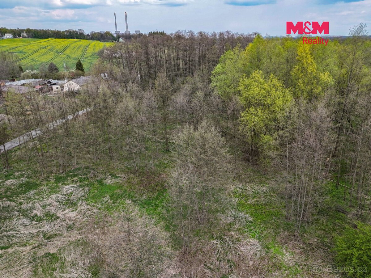 Prodej pole, 4130 m², Dětmarovice