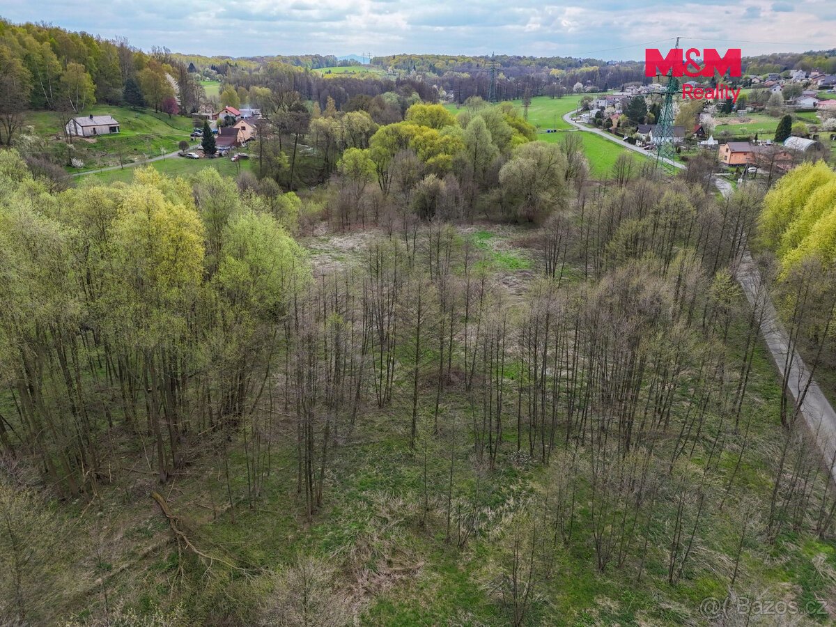 Prodej pole, 4130 m², Dětmarovice