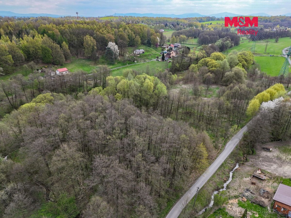 Prodej pole, 4130 m², Dětmarovice