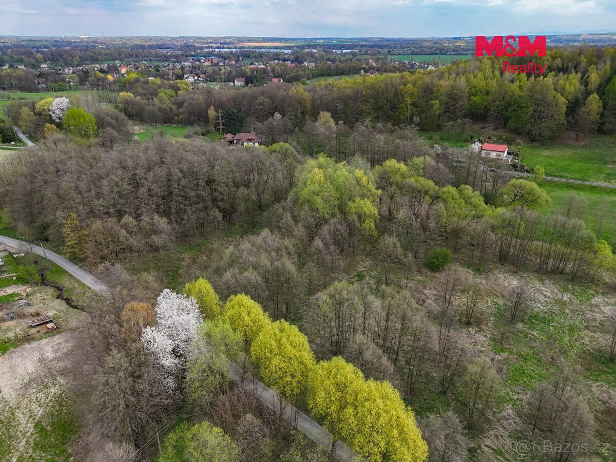 Prodej pole, 4130 m², Dětmarovice