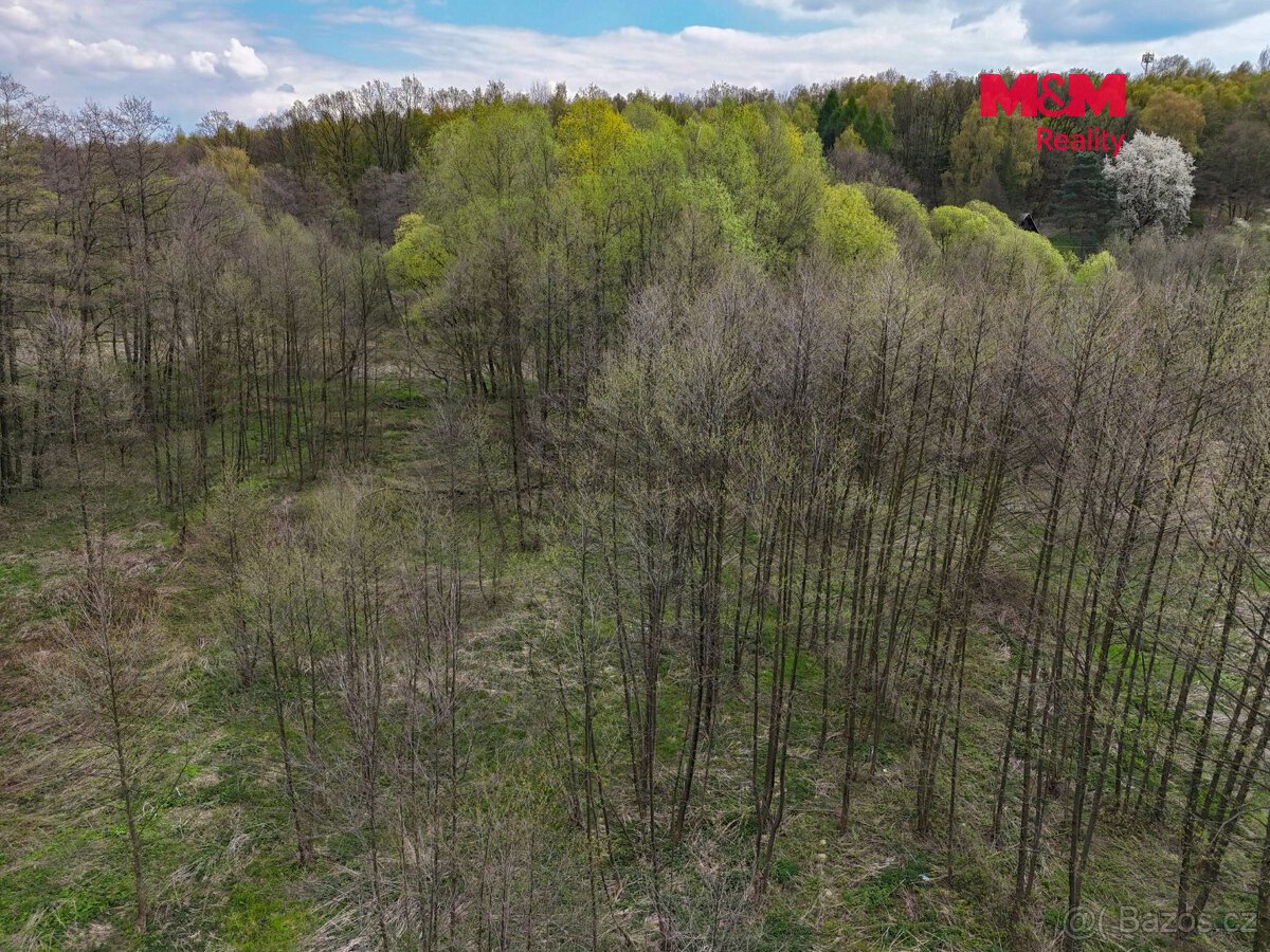 Prodej pole, 4130 m², Dětmarovice