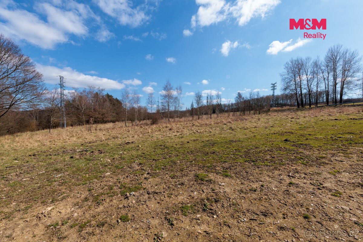 Prodej pozemku k bydlení, 8068 m², Loket