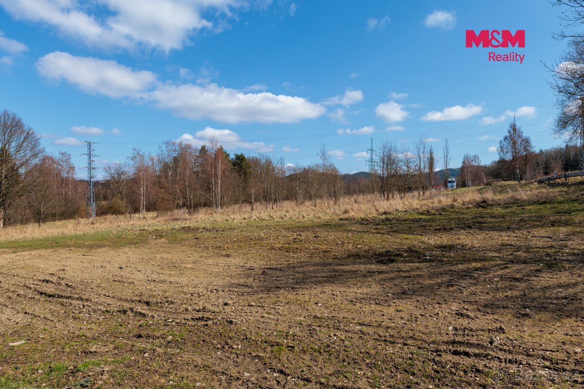 Prodej pozemku k bydlení, 8068 m², Loket