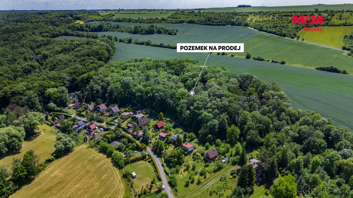 Prodej souboru lesních pozemků, Poplze u Libochovic