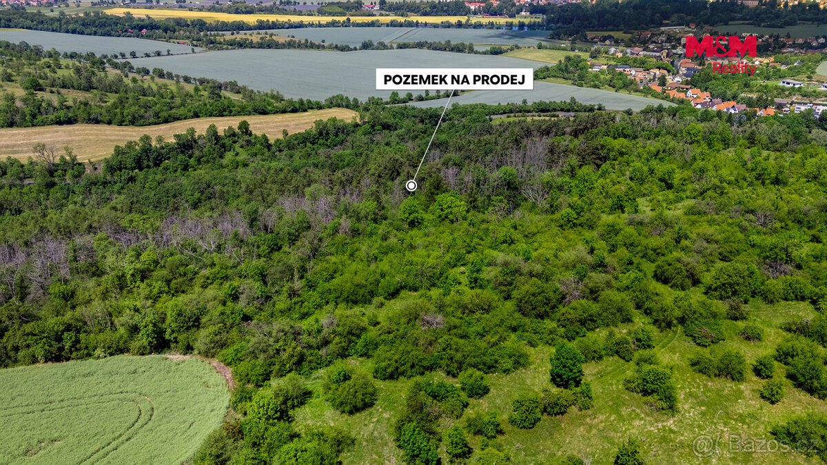 Prodej souboru lesních pozemků, Poplze u Libochovic
