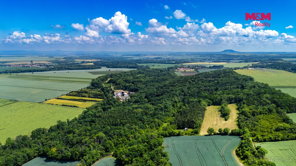 Prodej souboru lesních pozemků, Poplze u Libochovic