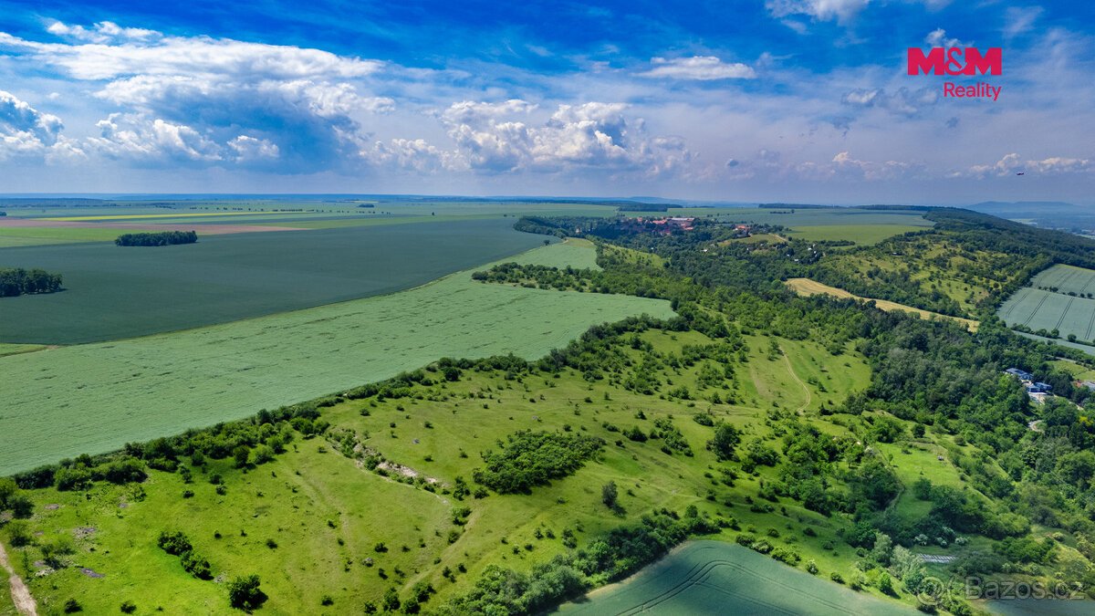 Prodej souboru lesních pozemků, Poplze u Libochovic