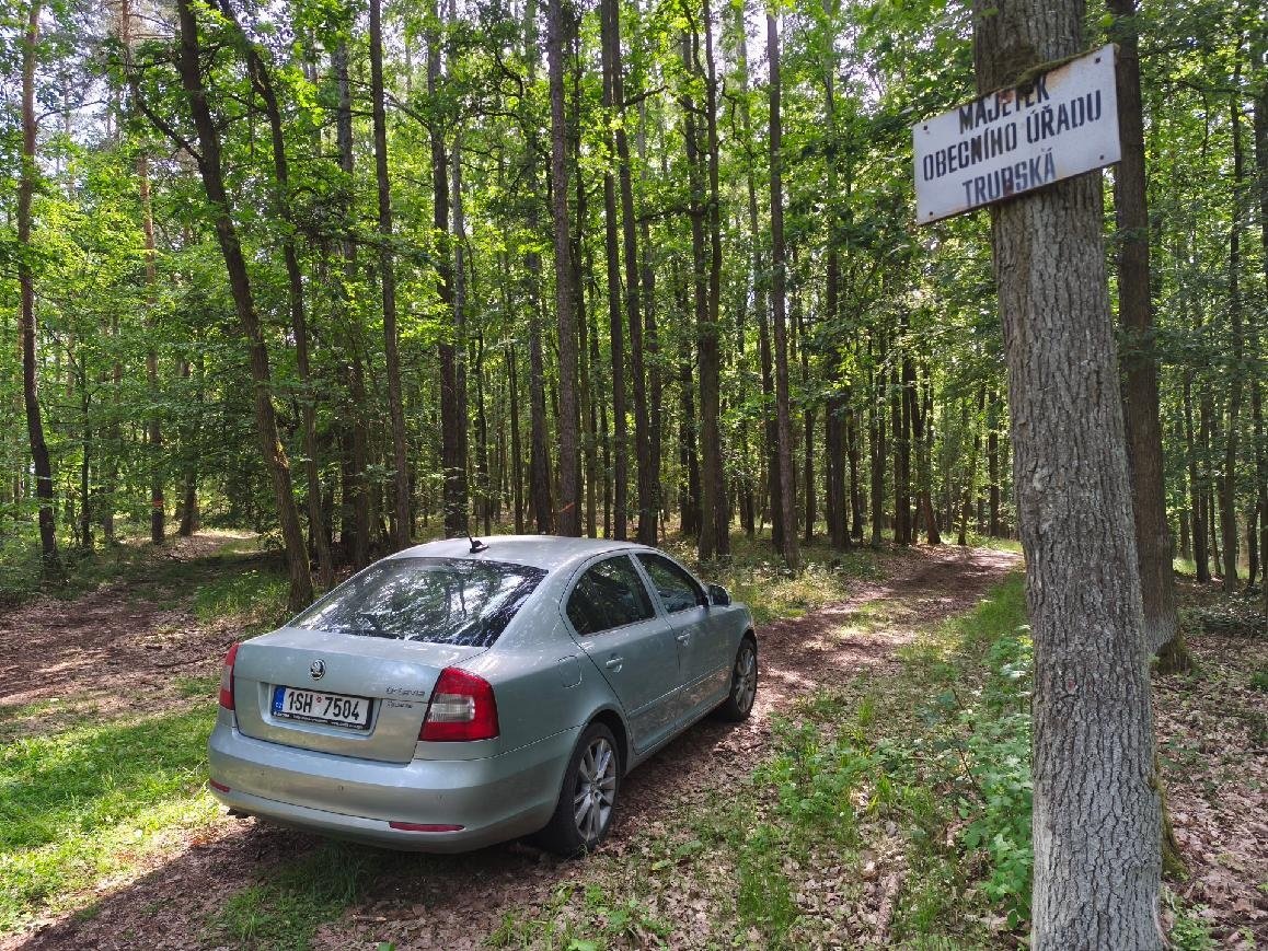 SLEVA 312 000 Kč 134 letý, 6 ha les, Křivoklátsko, 30 Kč/m2