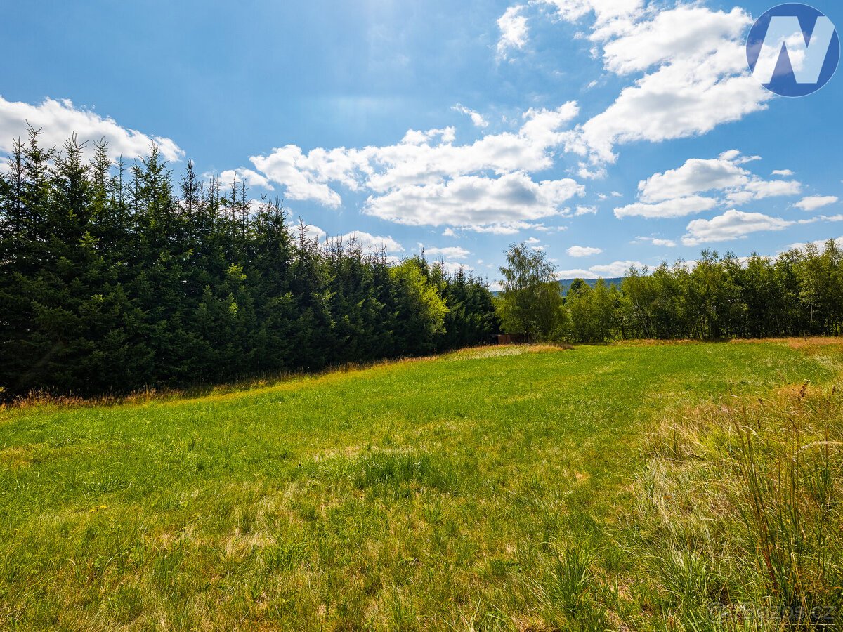 Prodej zasíťovaného stavebního pozemku 1 563 m² - Zdíkov, Šu