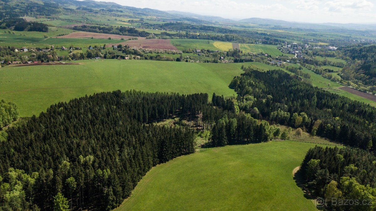 Prodej lesa 20336 m² – Heřmánkovice
