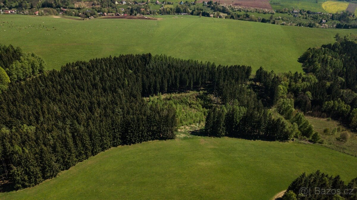 Prodej lesa 20336 m² – Heřmánkovice