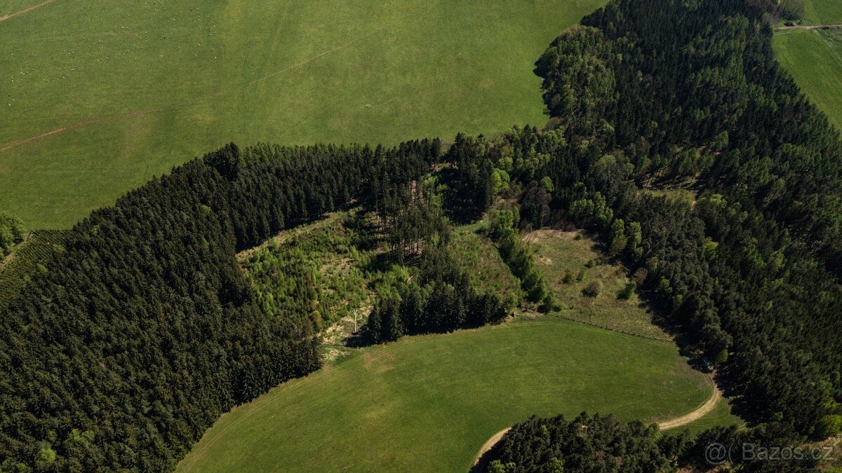 Prodej lesa 20336 m² – Heřmánkovice