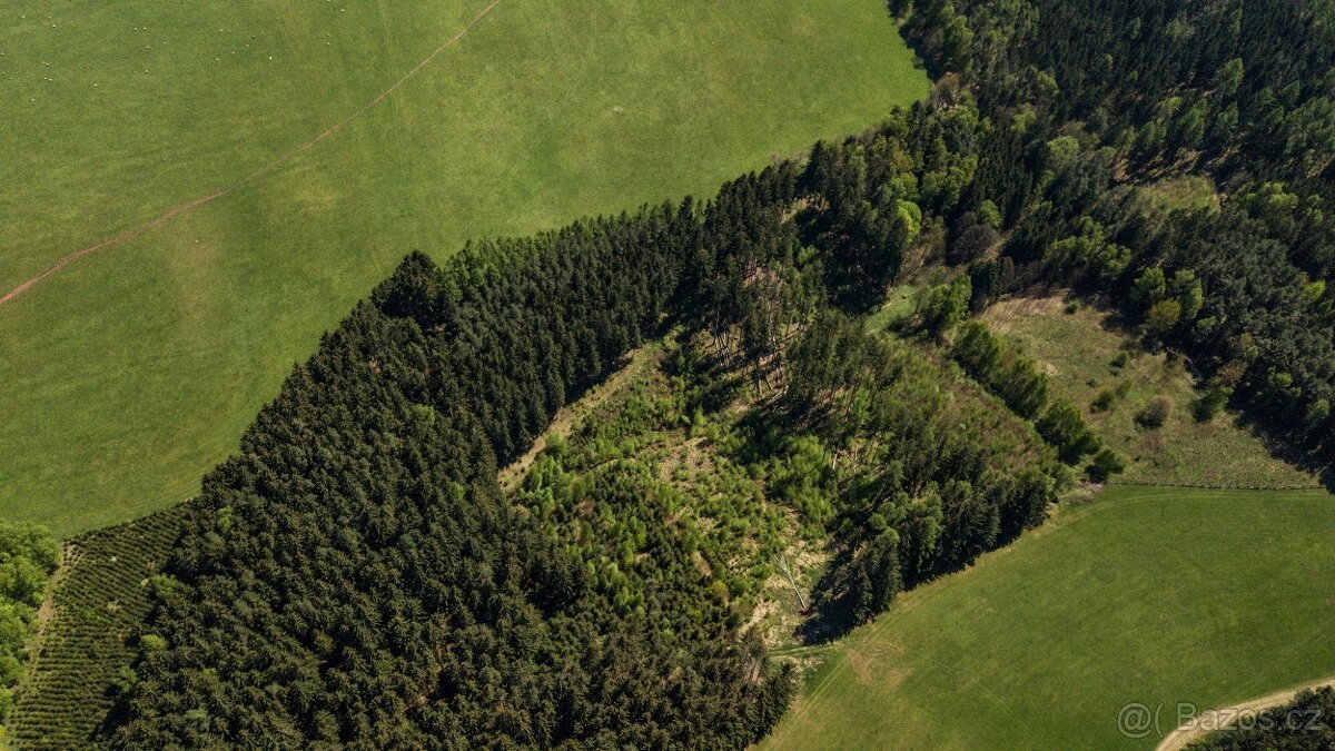 Prodej lesa 20336 m² – Heřmánkovice