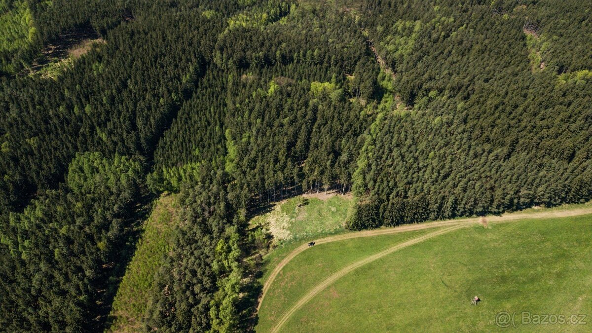 Prodej lesa 20336 m² – Heřmánkovice