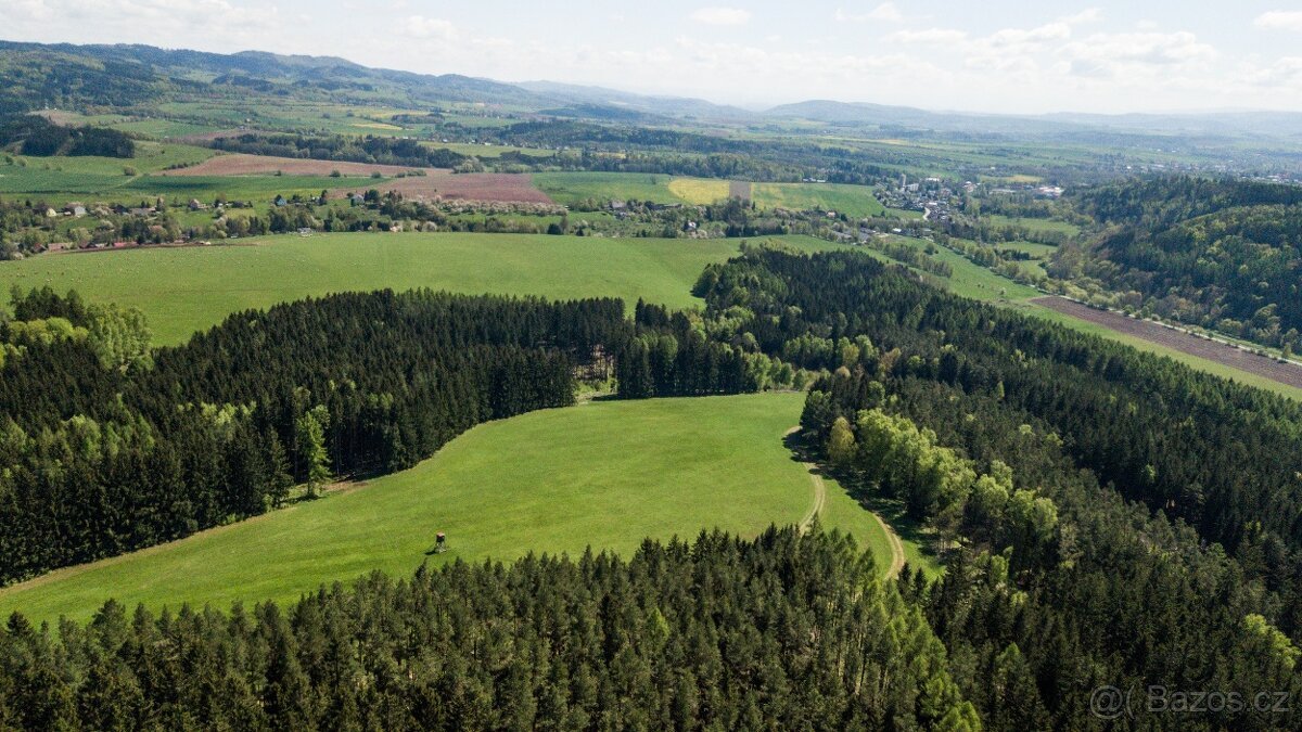 Prodej lesa 20336 m² – Heřmánkovice