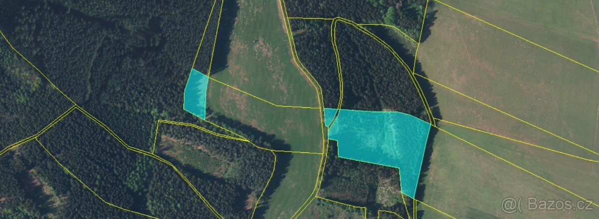 Prodej lesa 20336 m² – Heřmánkovice