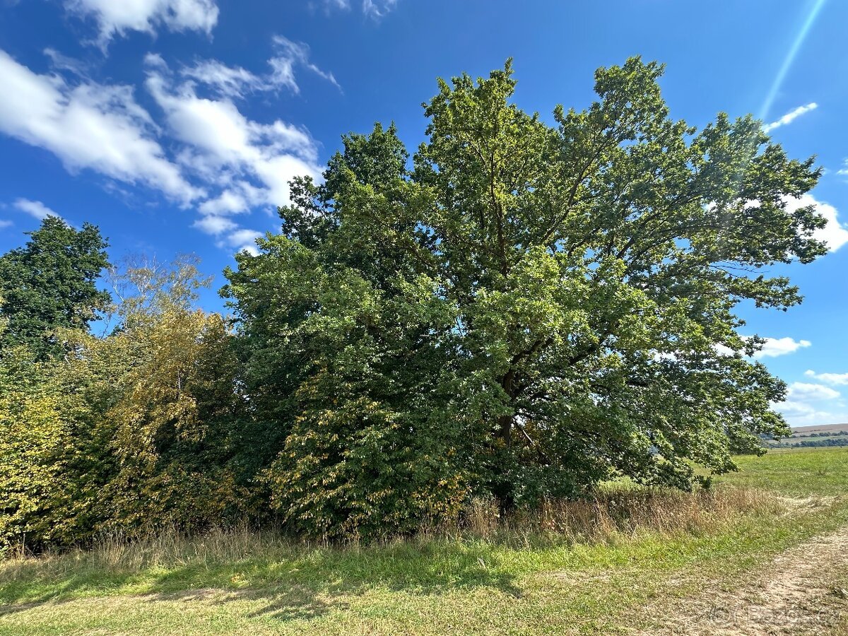Prodej pozemku 637 m² – Otovice