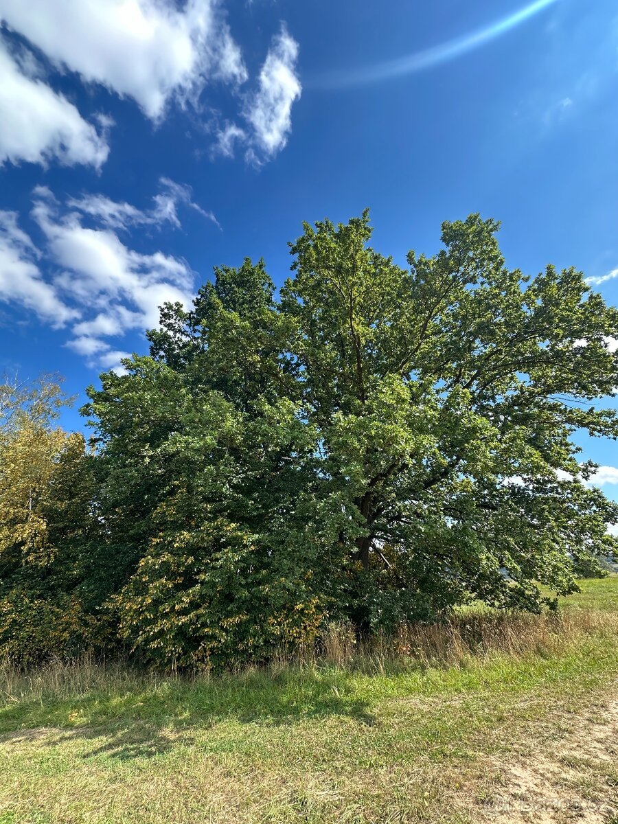 Prodej pozemku 637 m² – Otovice