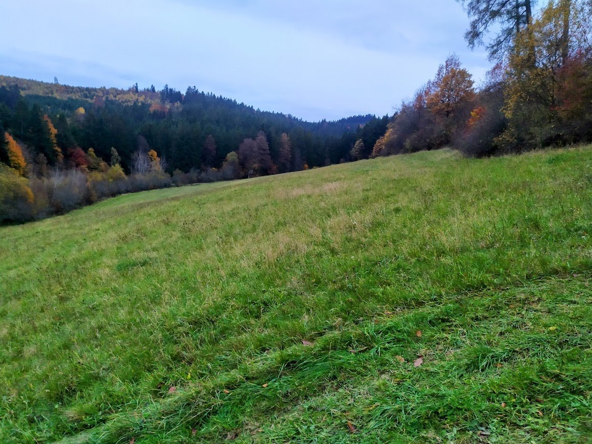 Prodej, louka, 5 977 m2, 100% vlastnictví, Seninka, Vsetín