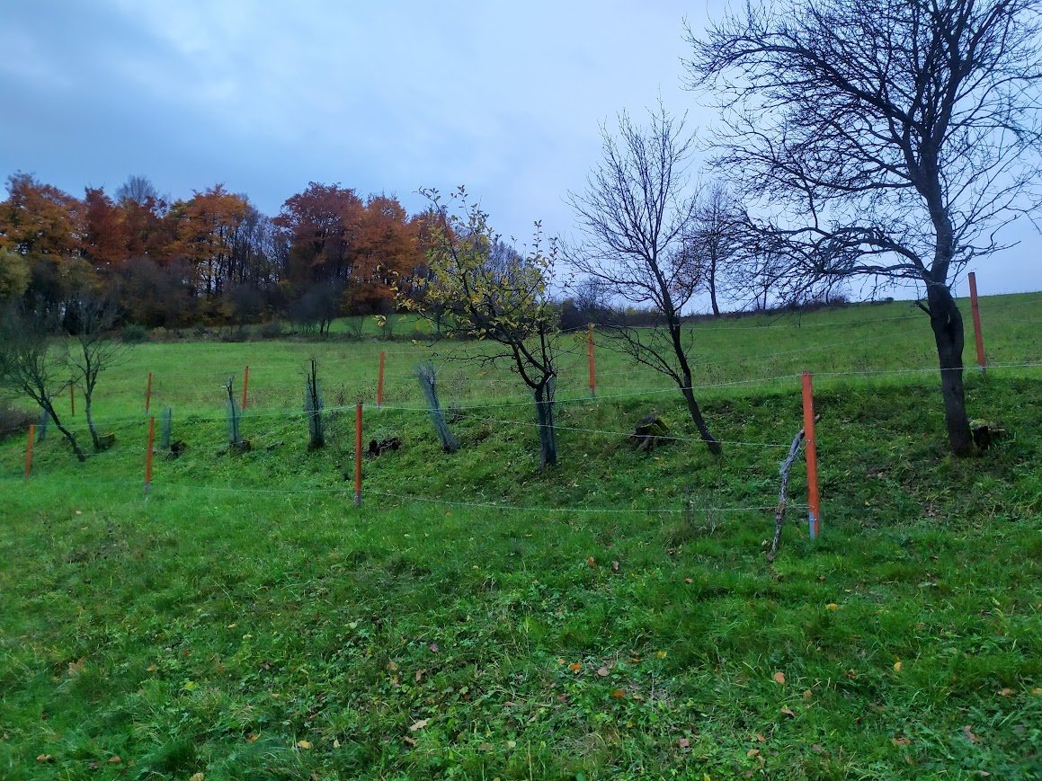 Prodej, louka, 4 441 m2, 100% vlastnictví, Seninka, Vsetín