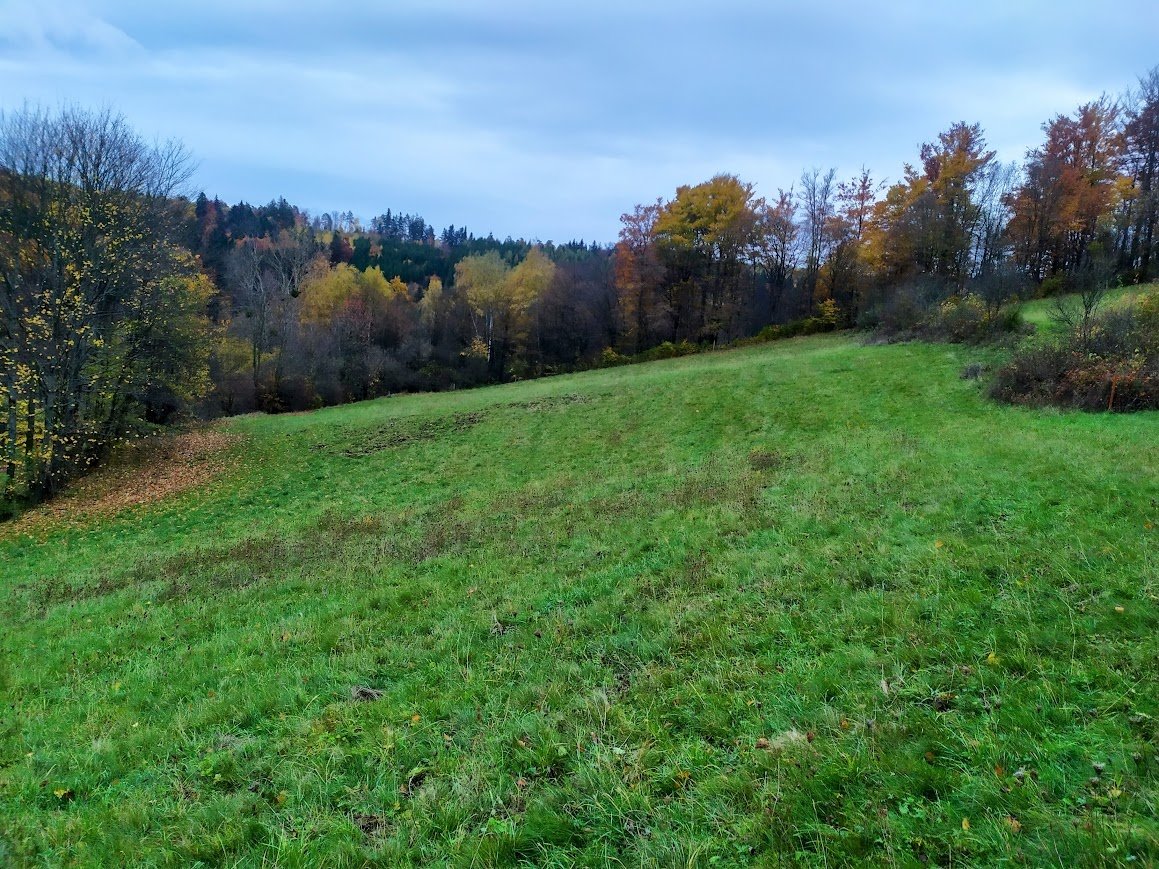 Prodej, louka, 4 441 m2, 100% vlastnictví, Seninka, Vsetín