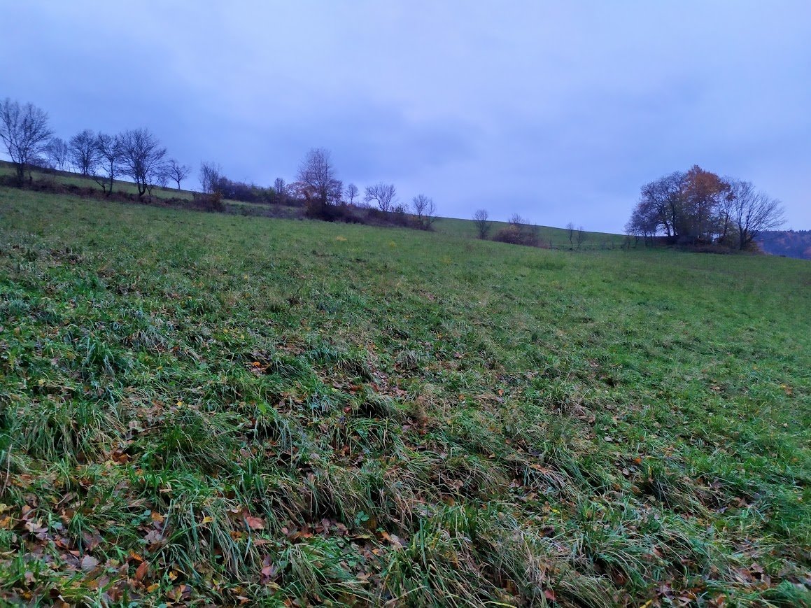 Prodej, louka, 4 441 m2, 100% vlastnictví, Seninka, Vsetín