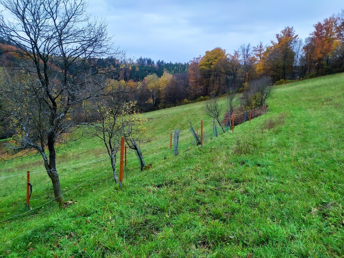 Prodej, louka, 4 441 m2, 100% vlastnictví, Seninka, Vsetín
