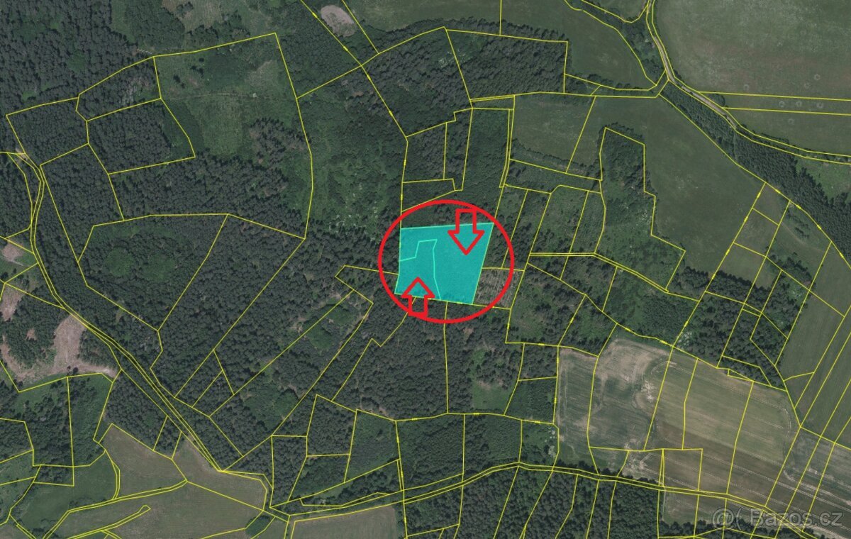 Prodej lesních pozemků k.ú. Milejovice