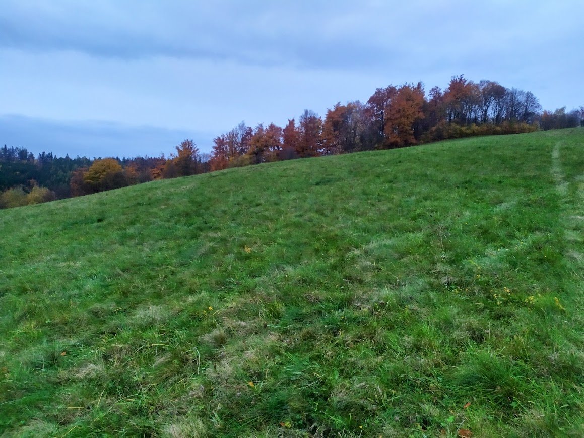 Prodej, louka, 4 765 m2, 100% vlastnictví, Seninka, Vsetín