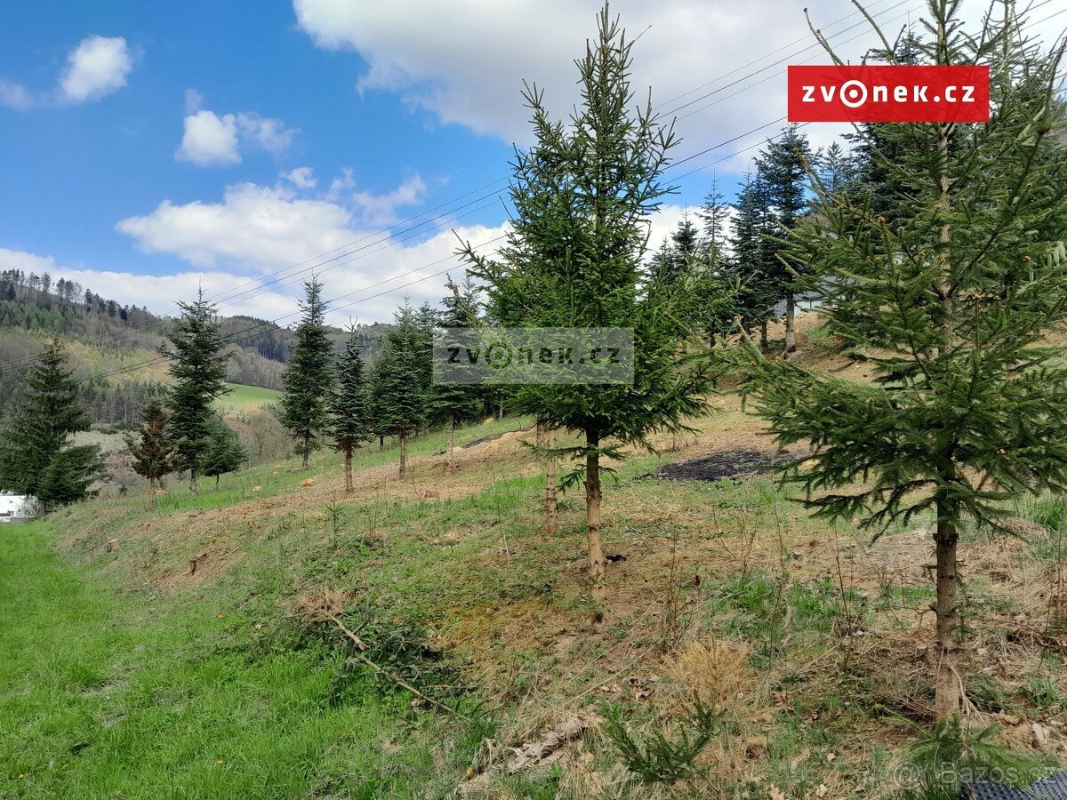 Prodej stavebního pozemku 1 579 m², Bystřička, ev.č. 658666
