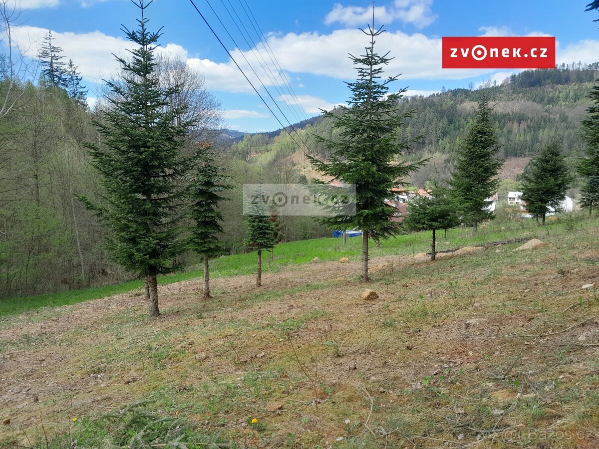 Prodej stavebního pozemku 1 579 m², Bystřička, ev.č. 658666