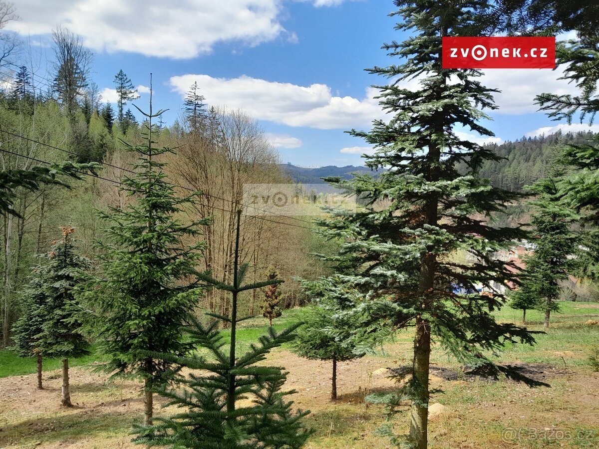 Prodej stavebního pozemku 1 579 m², Bystřička, ev.č. 658666