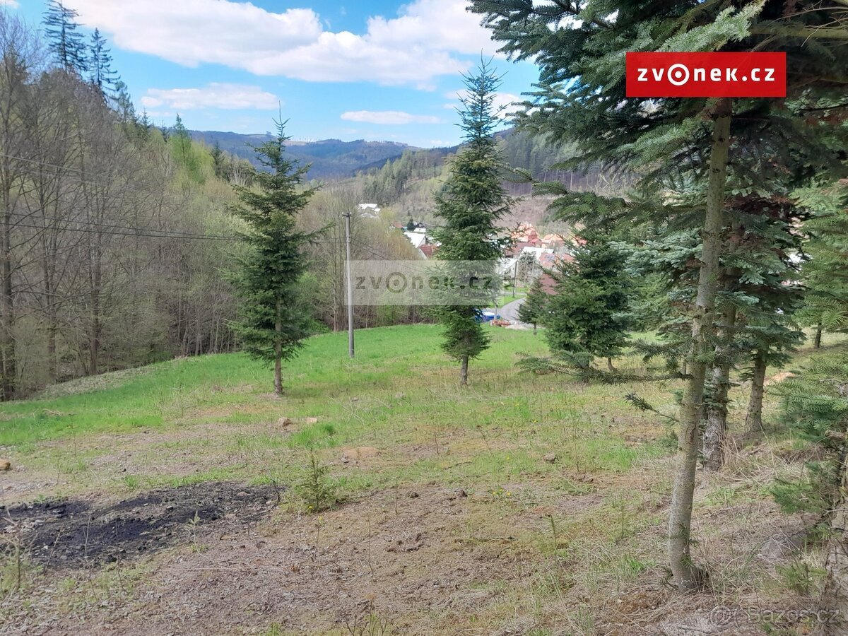 Prodej stavebního pozemku 1 579 m², Bystřička, ev.č. 658666
