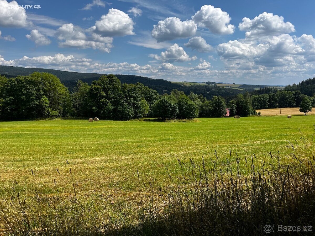 Stavební pozemek Říčky v Orlických horách 13380 m2