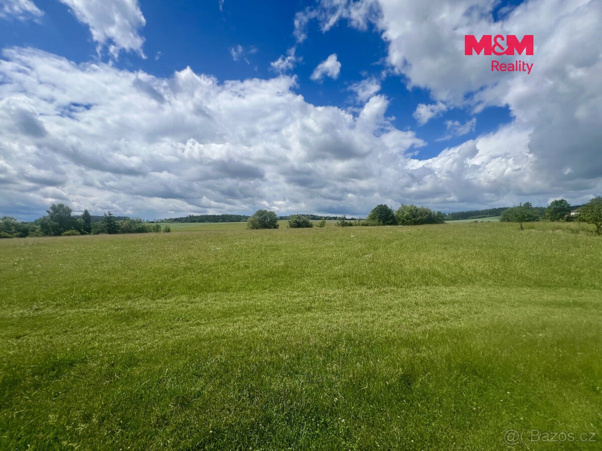 Prodej louky, 17249 m², Lodhéřov