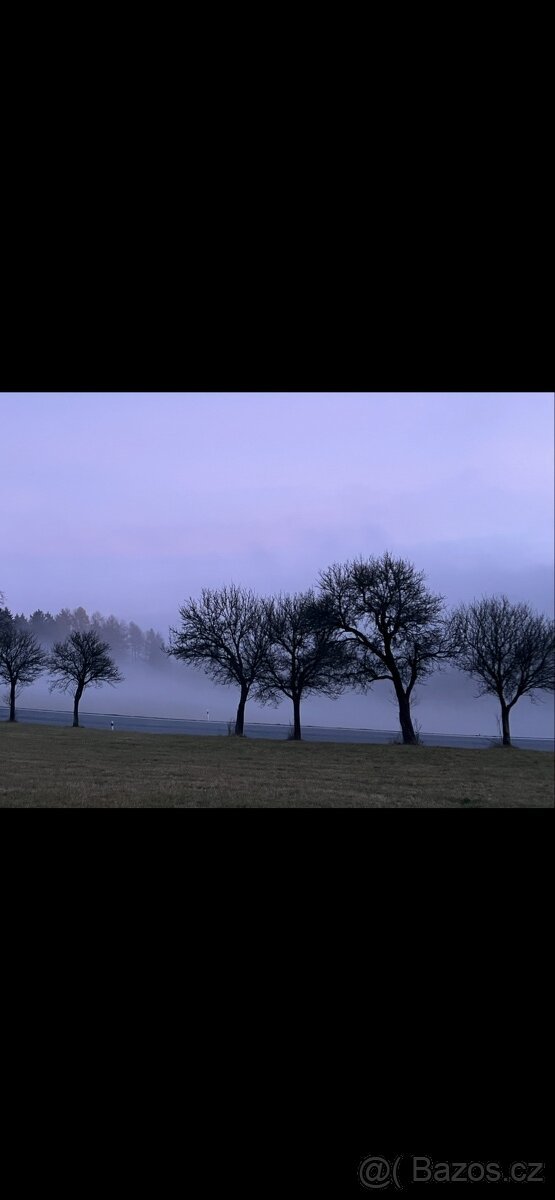 Stavebni pozemek Vysočina