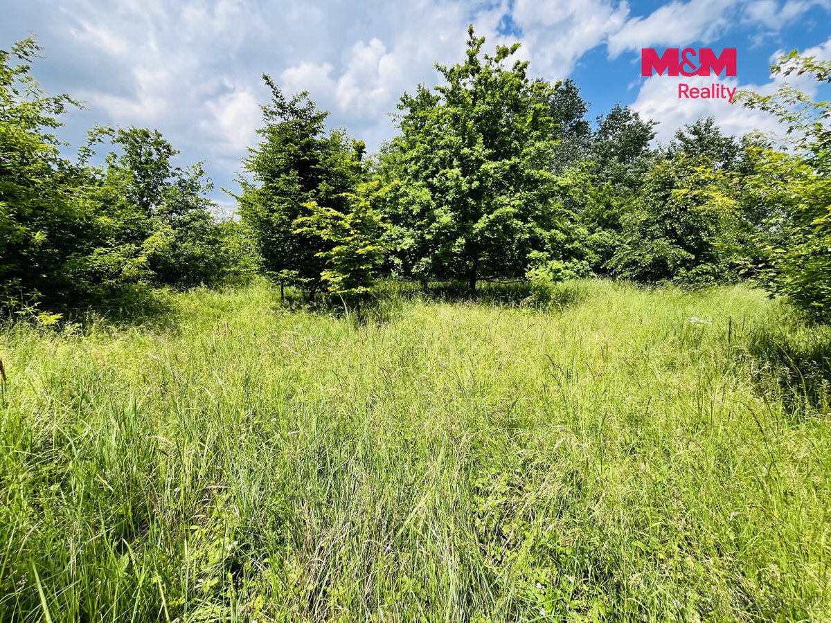 Prodej pozemku, 1026 m², Veselí nad Moravou