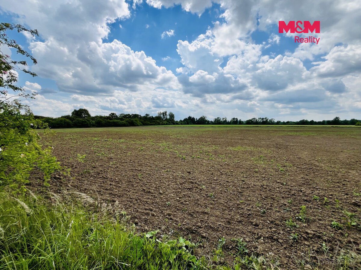 Prodej pozemku, 1026 m², Veselí nad Moravou