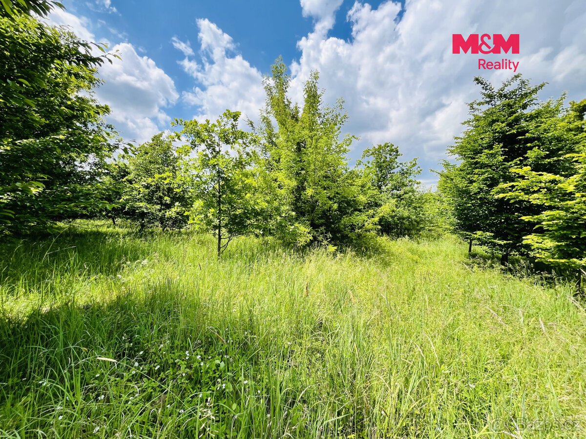 Prodej pozemku, 1026 m², Veselí nad Moravou