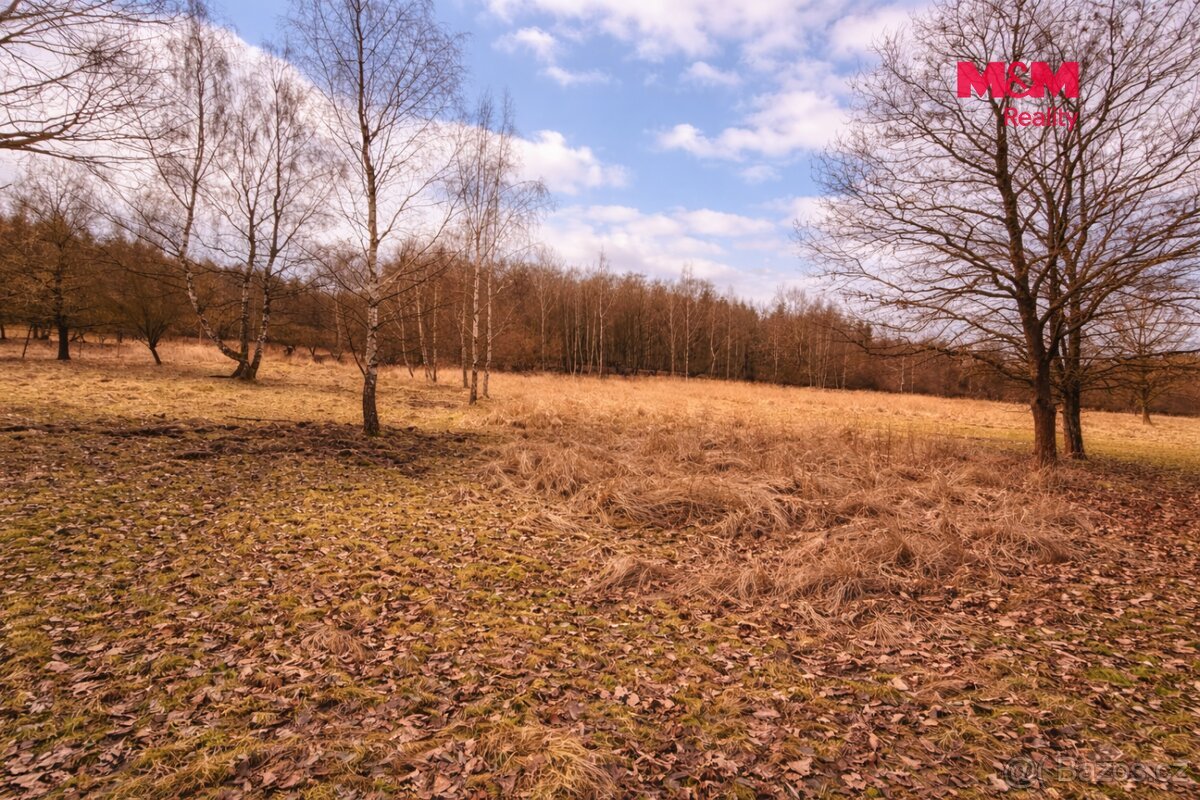 Stavební pozemky 3 000 m², Neveklov, okr. Benešov
