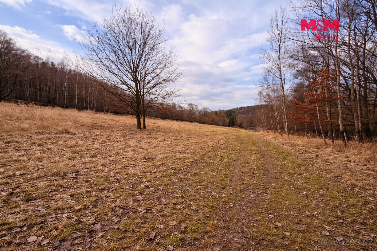 Stavební pozemky 3 000 m², Neveklov, okr. Benešov