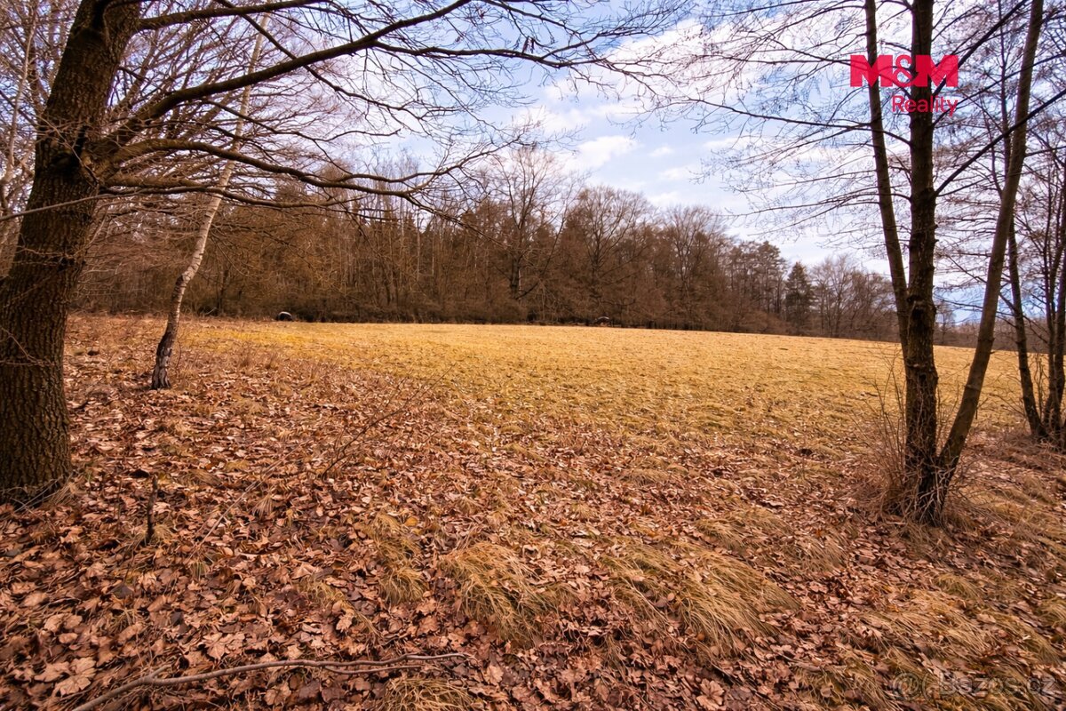 Stavební pozemky 3 000 m², Neveklov, okr. Benešov