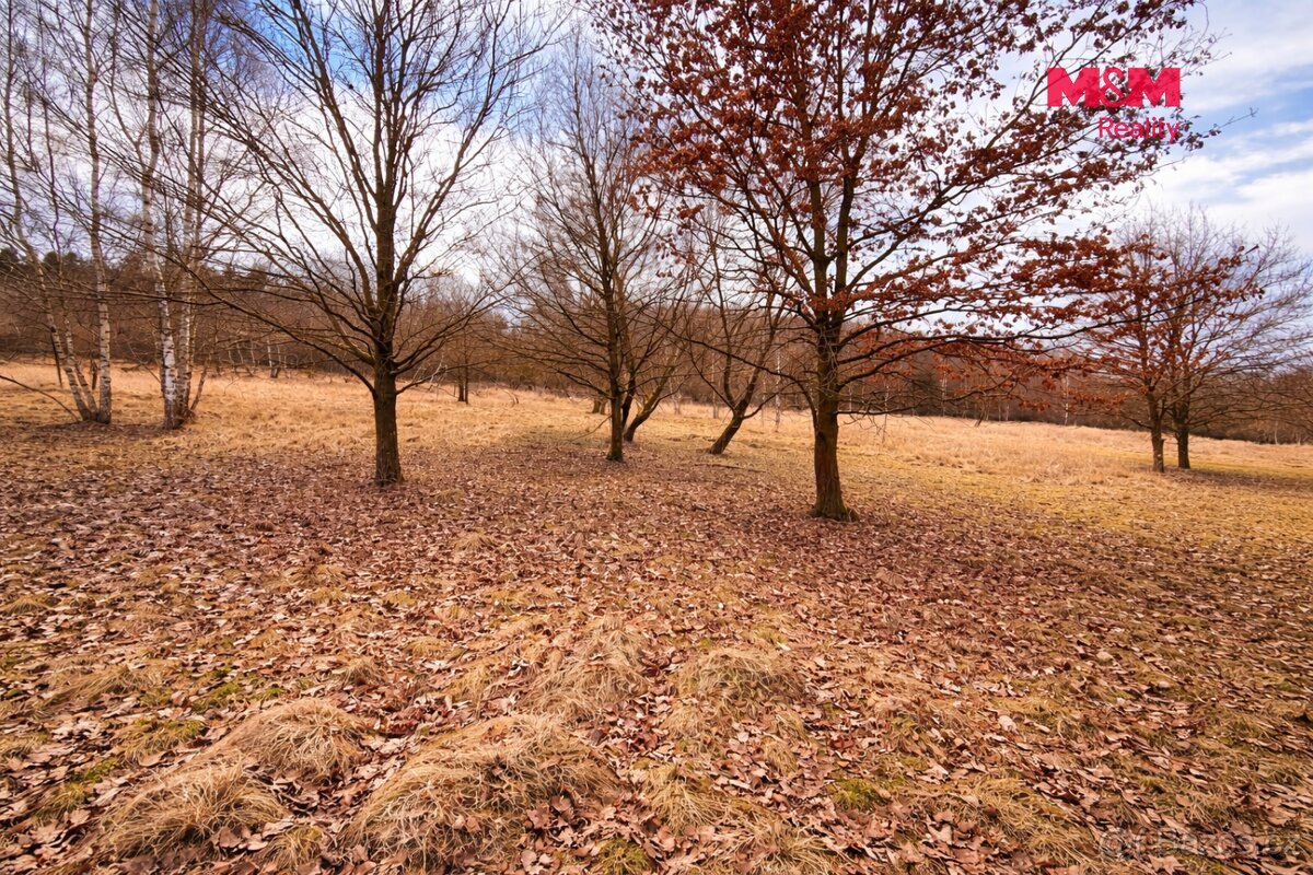 Stavební pozemky 3 000 m², Neveklov, okr. Benešov