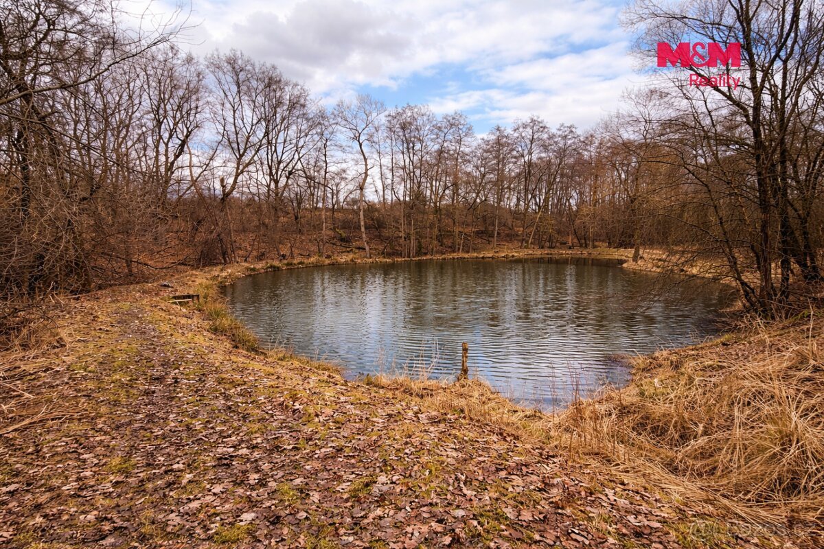 Stavební pozemky 3 000 m², Neveklov, okr. Benešov