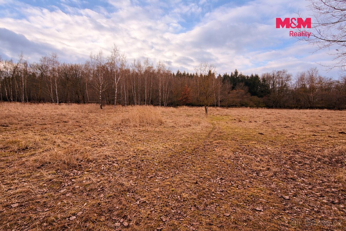 Stavební pozemky 3 000 m², Neveklov, okr. Benešov