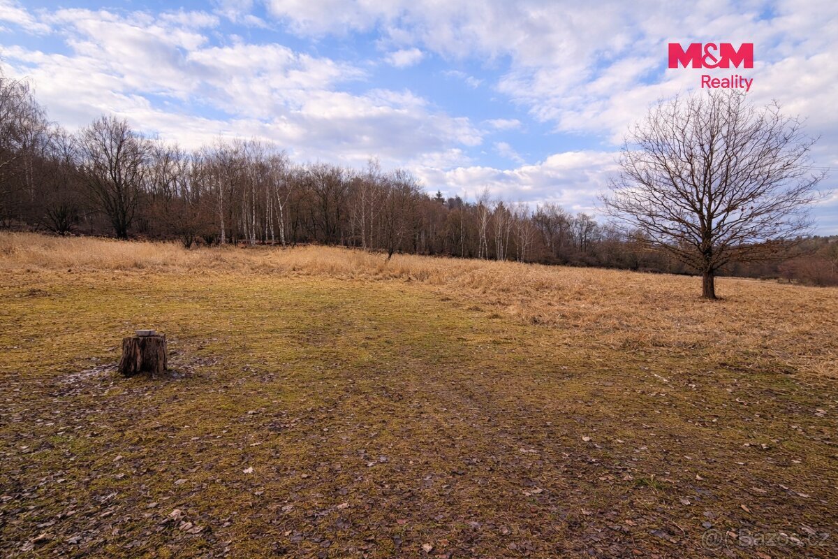 Stavební pozemky 3 000 m², Neveklov, okr. Benešov