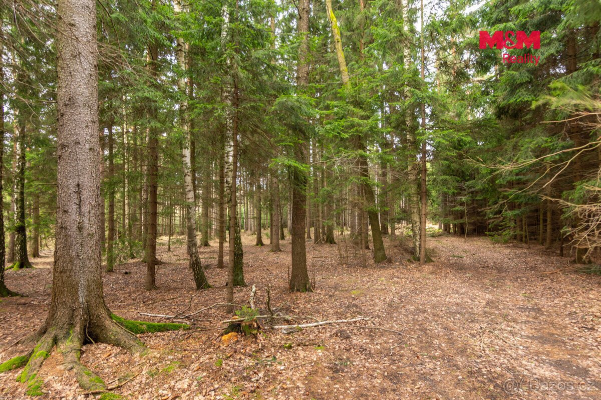 Prodej souboru pozemků, 108437 m², Vysočina